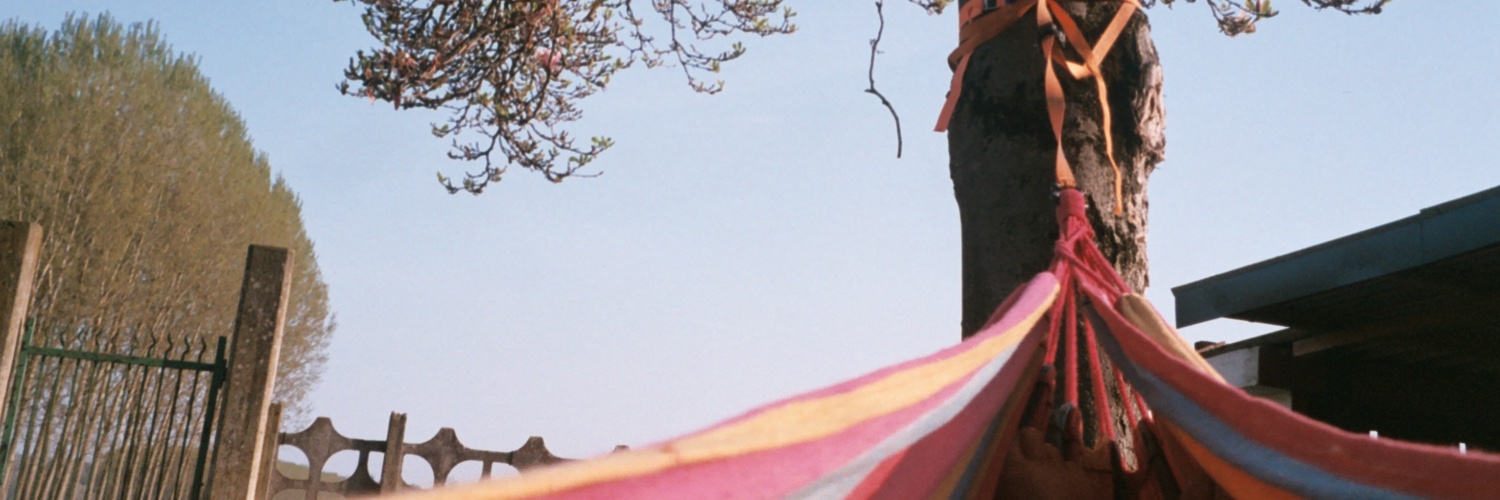 jennbuchann's profile banner image