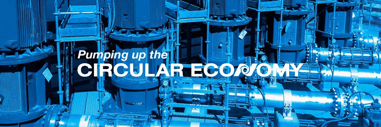 Neptuno Pumps banner