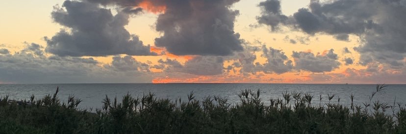 goncalopiinto's profile banner image