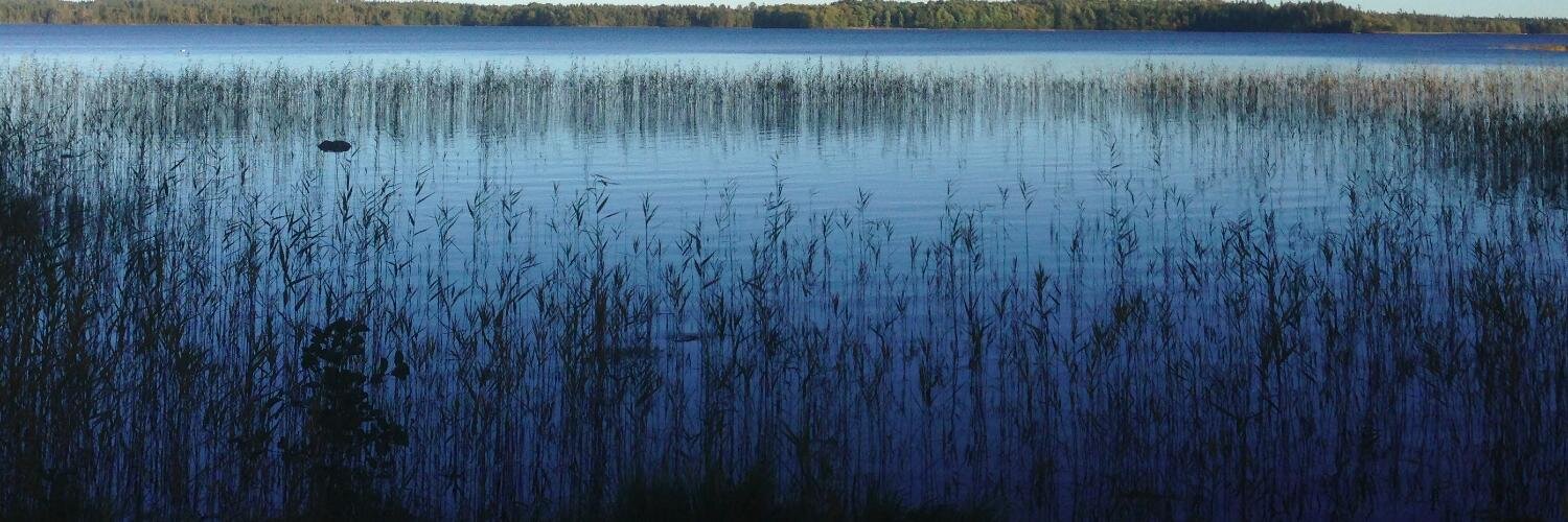 Chris Mathys, friend of clarity about scarcity banner