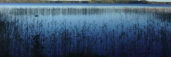 chmathys Profile Banner