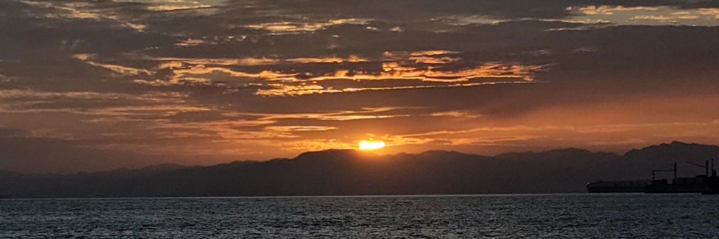 Steban Castro banner