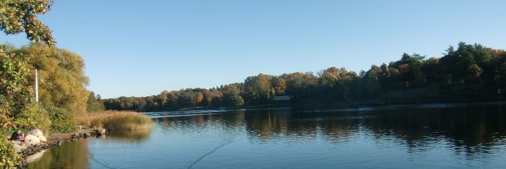 swahnens's profile banner image