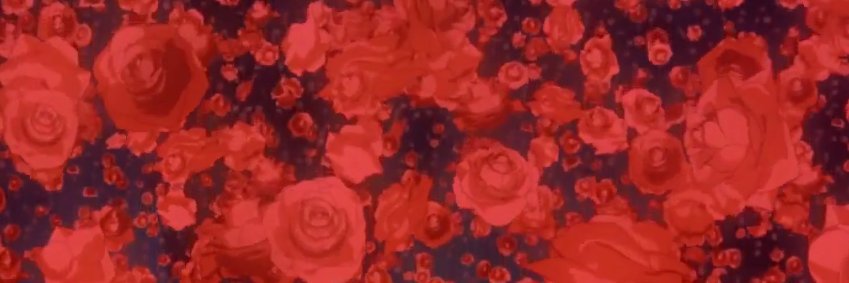 PrimaRuna's profile banner image