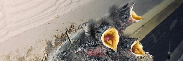 JRodMedia Profile Banner