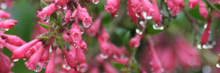 a0509195385's profile banner image