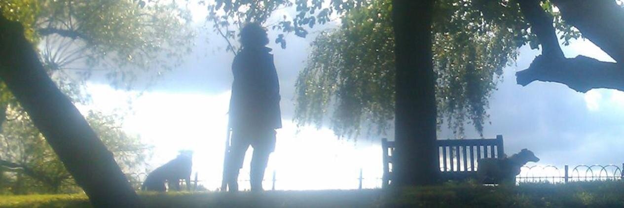 MetrosMutt's profile banner image