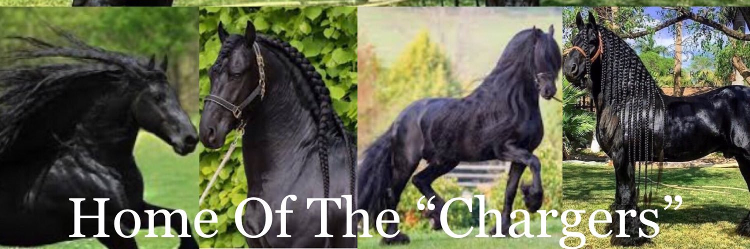 EcChargers's profile banner image