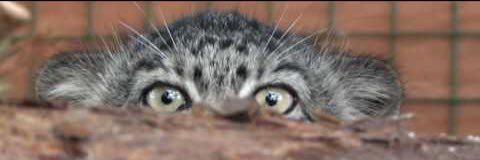klh's profile banner image