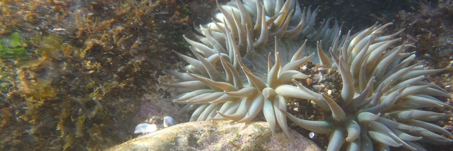 Gerardo Fernández banner