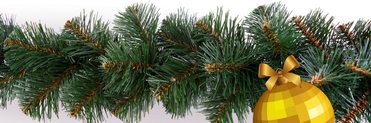 wrangleborostor's profile banner image