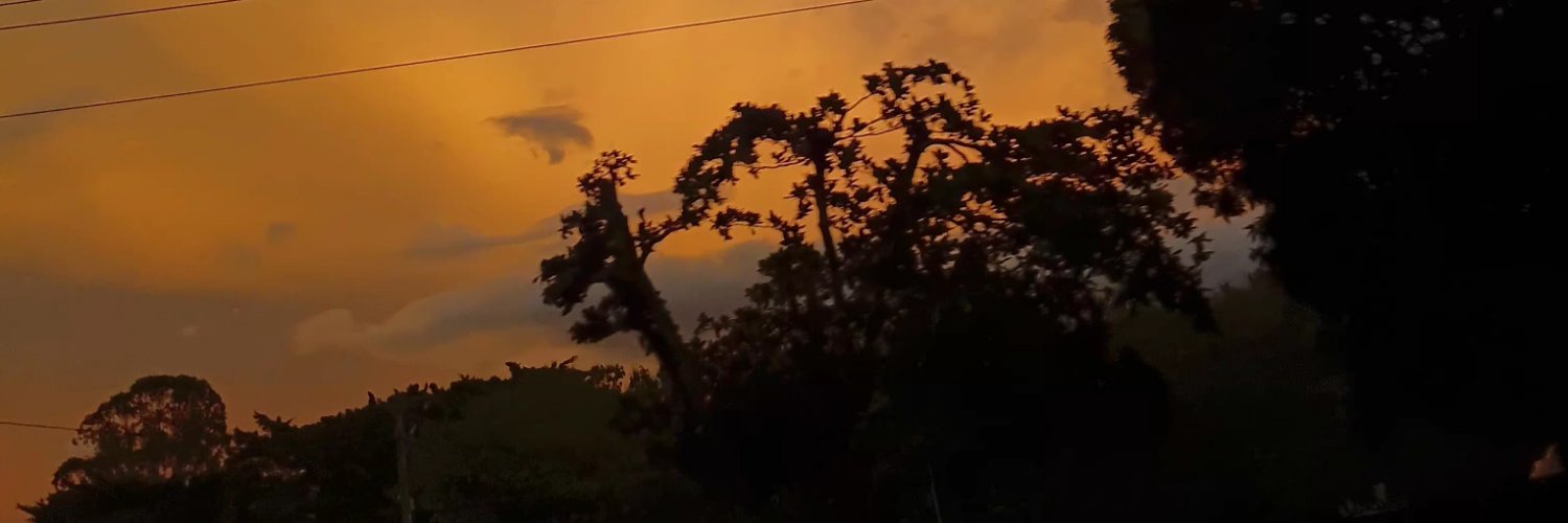 Anns_21's profile banner image