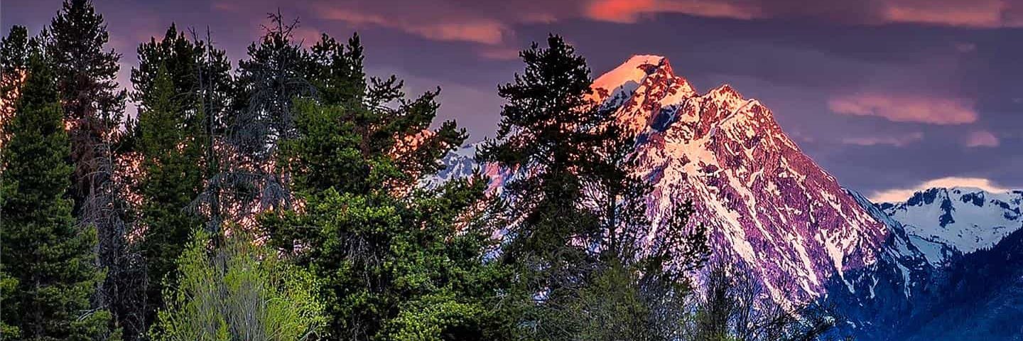 oneredwanonly's profile banner image