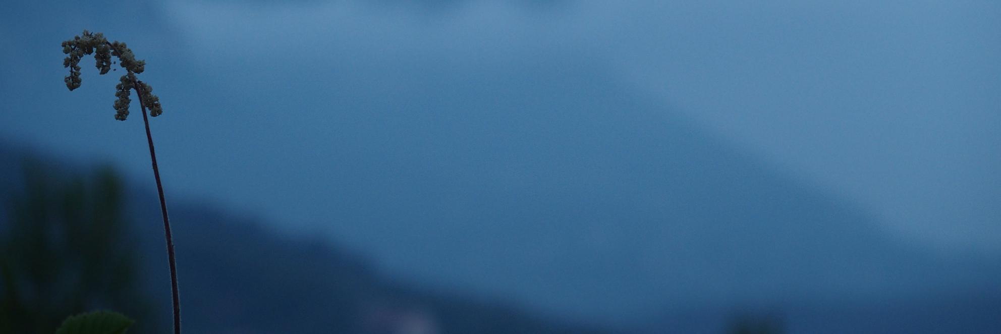 Geraci Hélène 🇺🇦 banner
