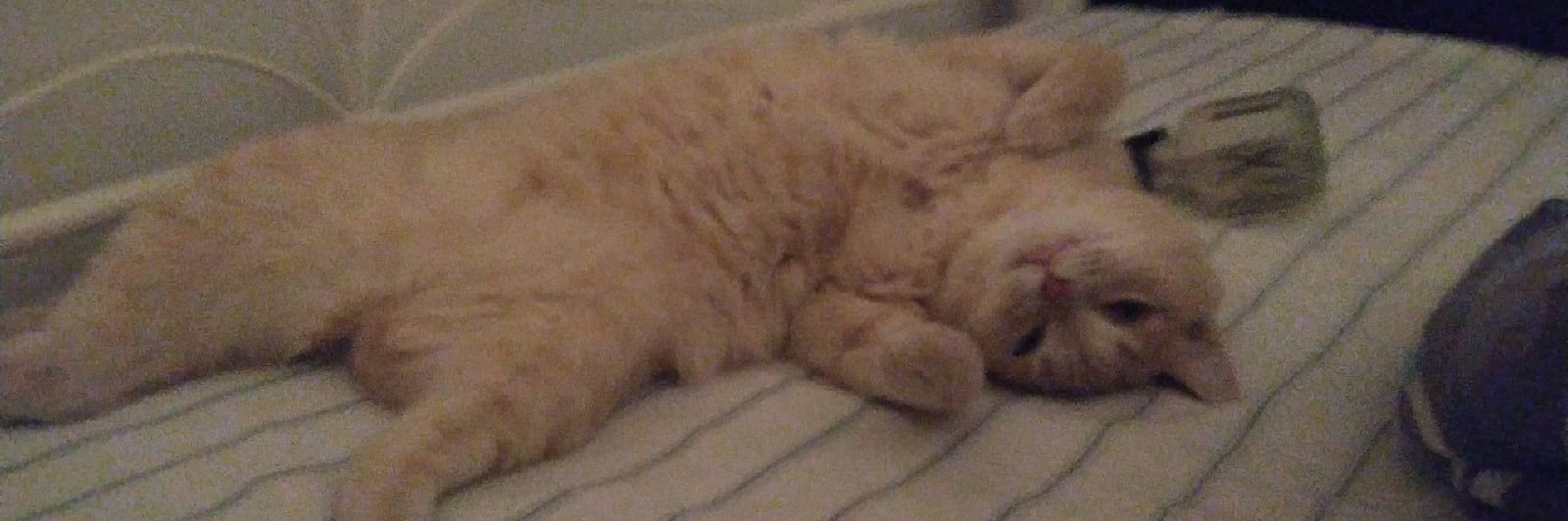 Леха. Давайте запоминать уже мое имя banner