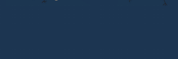 asdfriendly Profile Banner