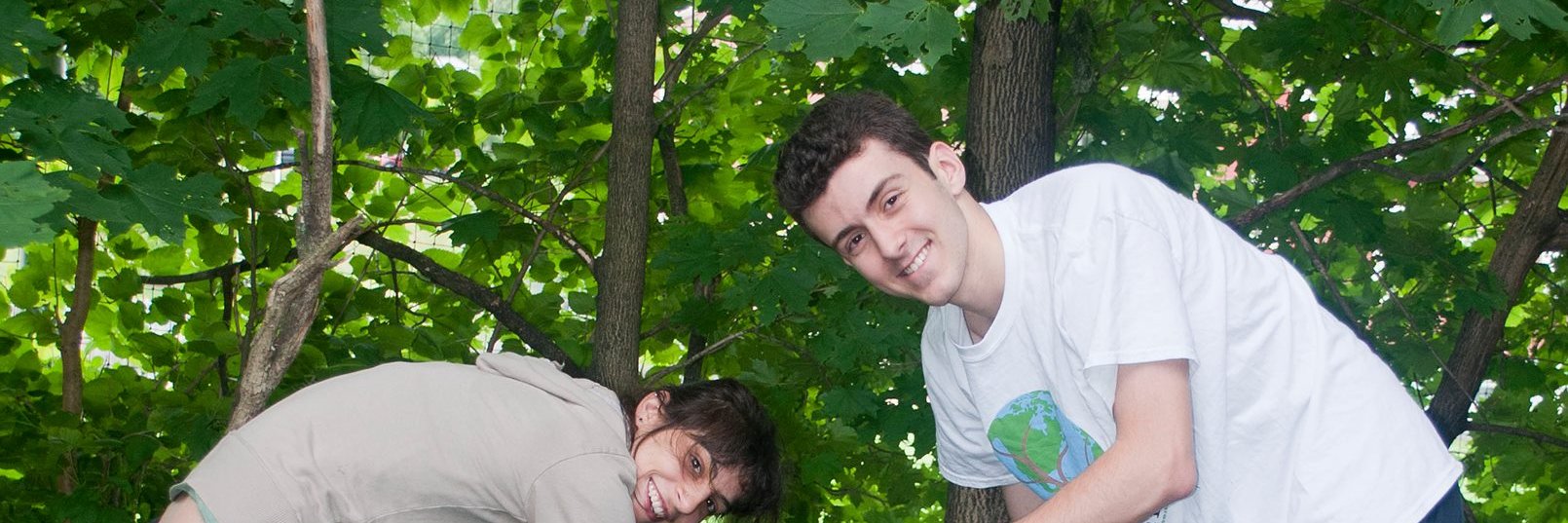 DBComposting's profile banner image