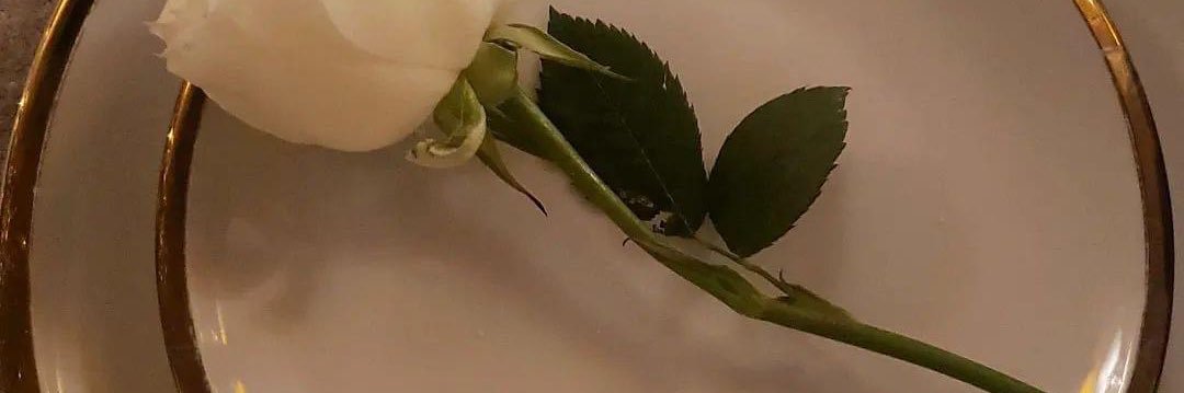 CyanKarla's profile banner image