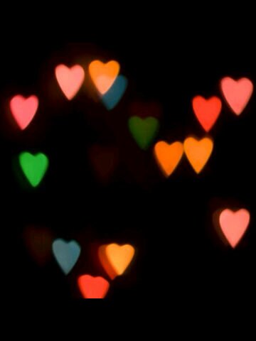 _sandola's profile banner image