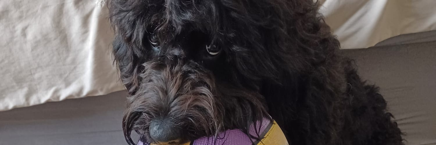 Marcus walker banner