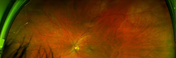 cccheney Profile Banner