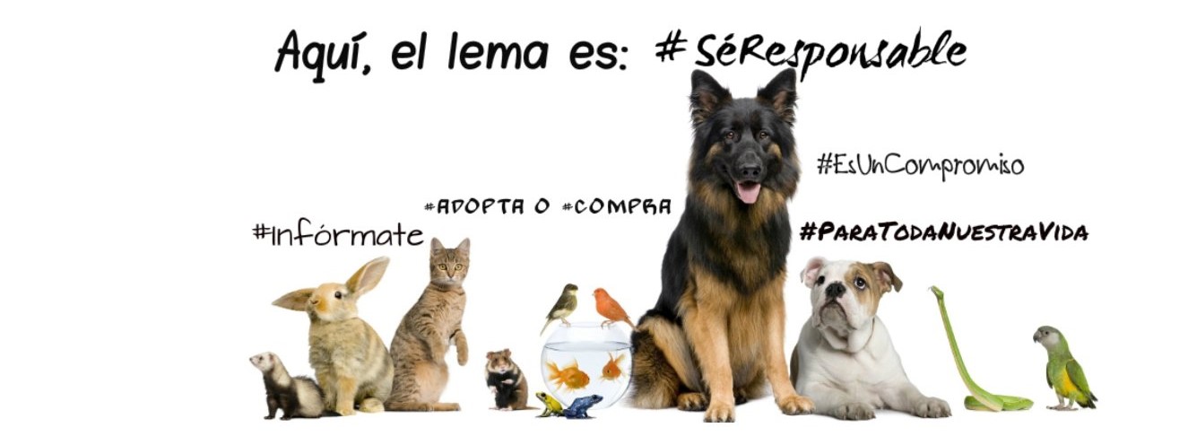 Nessa M. Clavijo banner