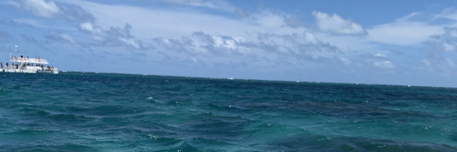 PedroDaantas's profile banner image