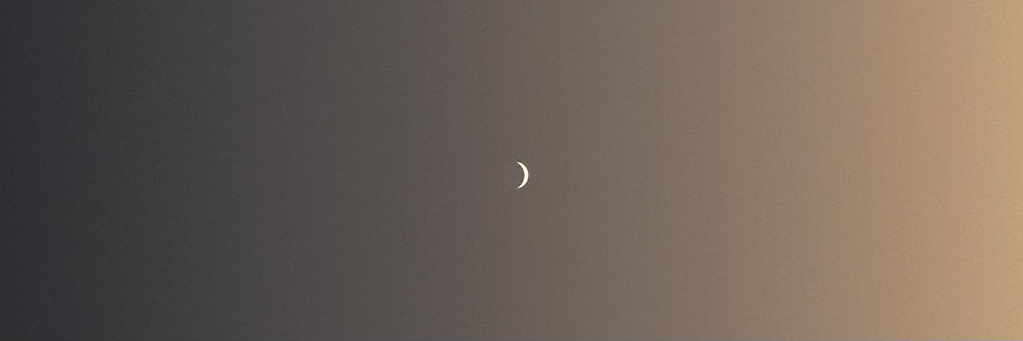 nataliesd20's profile banner image