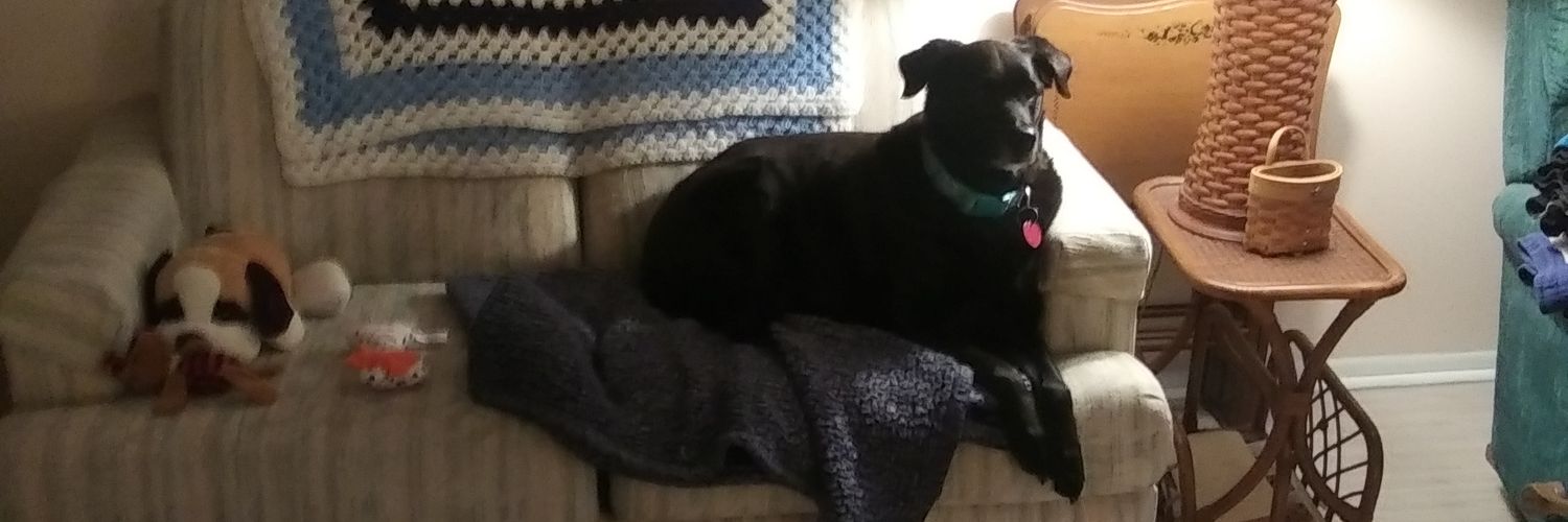 Mister Gentleman. banner