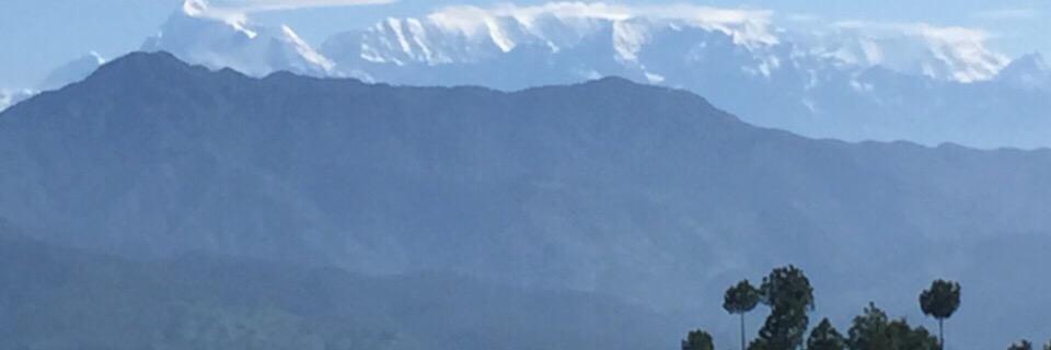 bimalt's profile banner image