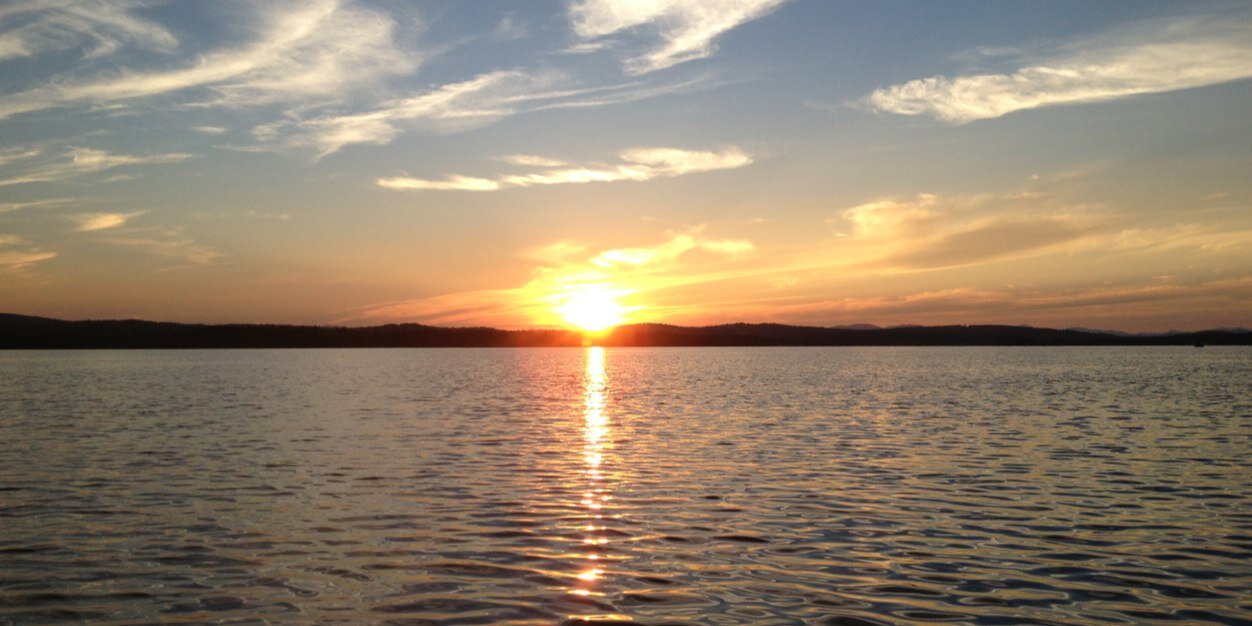 shelmoody's profile banner image