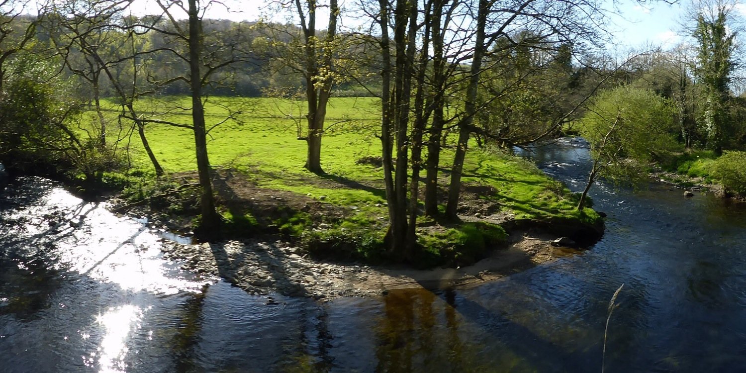 Vicky Burrell banner