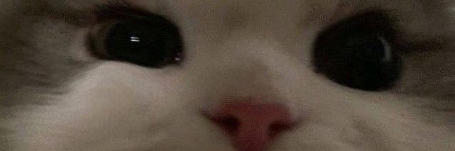 rivenpwnu's profile banner image