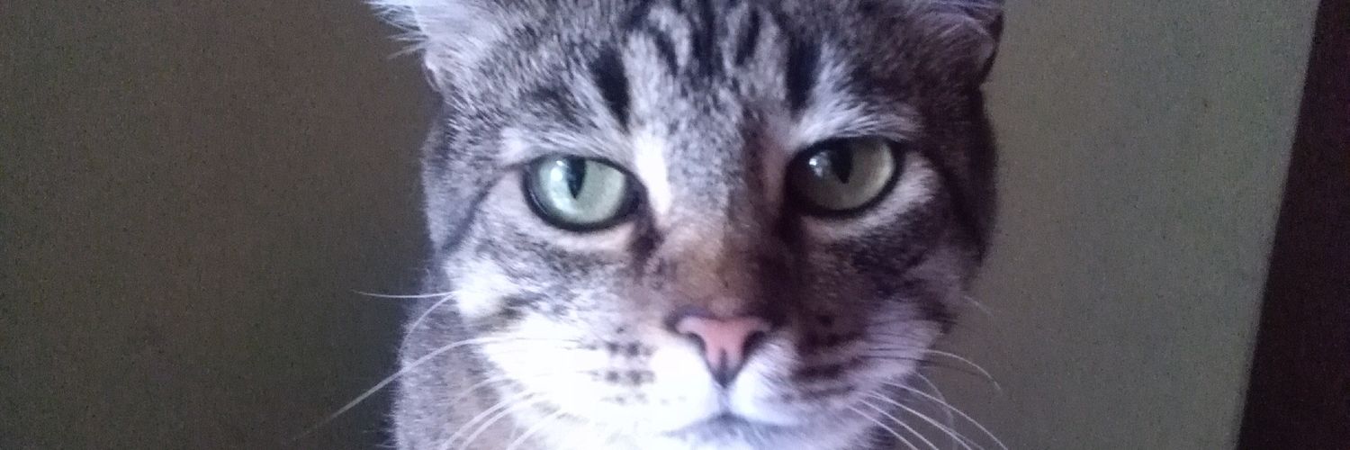 Tukkho's profile banner image