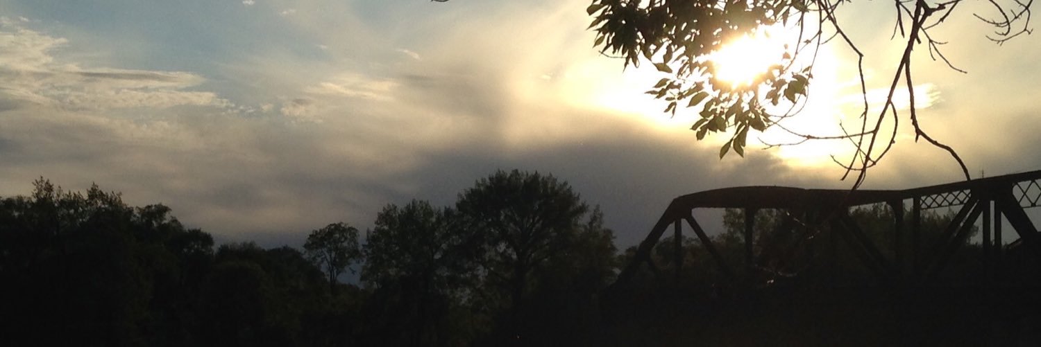 rawrmaster2000's profile banner image
