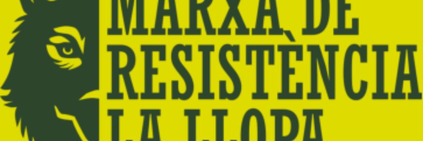 Marxa de la Llopa banner