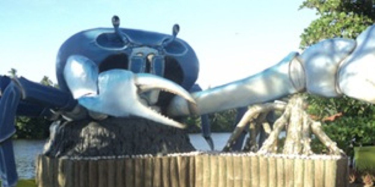 chelocaraveo's profile banner image