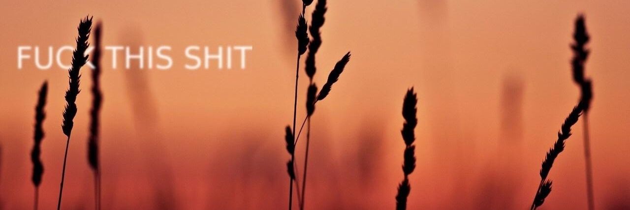 zoolilba's profile banner image