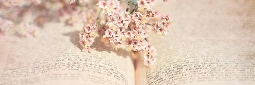 _Luudmilaa's profile banner image