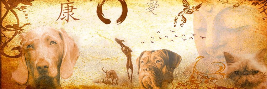 Phoenix Rising Integrative Vet Care banner