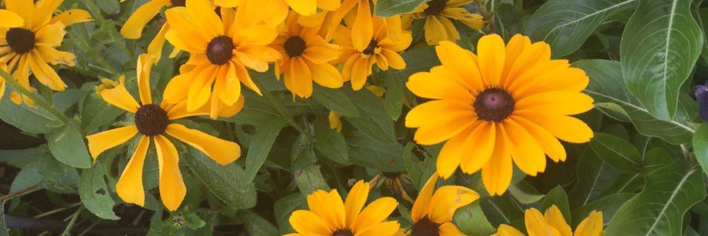 _annnuh's profile banner image