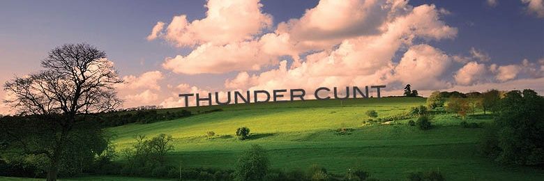 Llamathrust banner