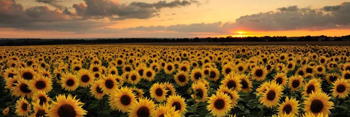 fercasao07's profile banner image