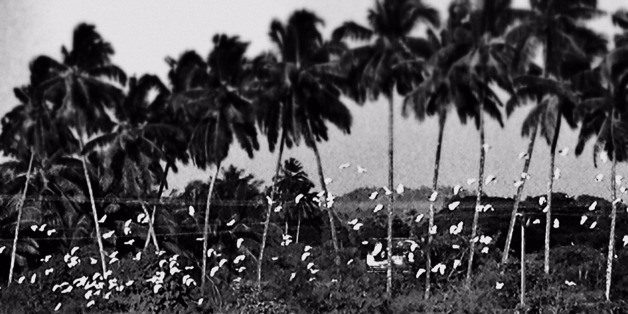 Azzure_Goa's profile banner image