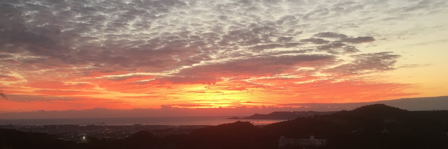 cannotflypig's profile banner image