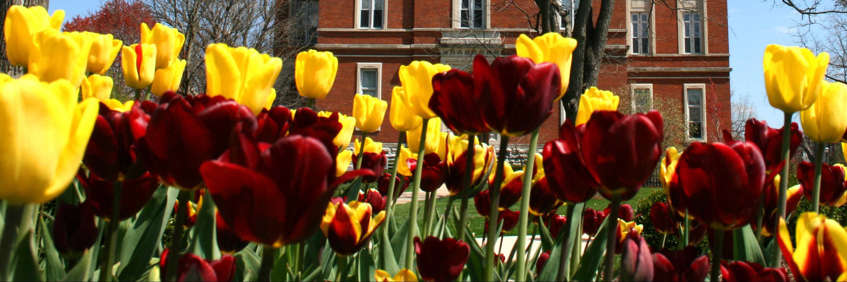 DePauwLife's profile banner image