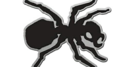 jucarucha's profile banner image