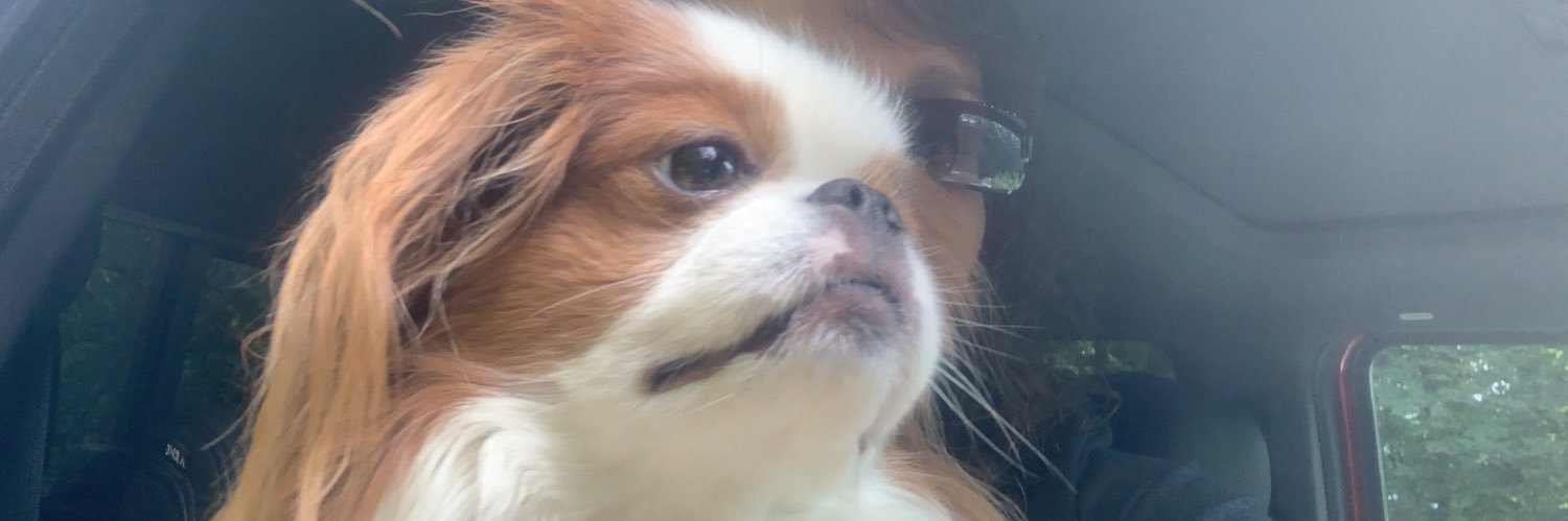 Rebecca McCrea banner