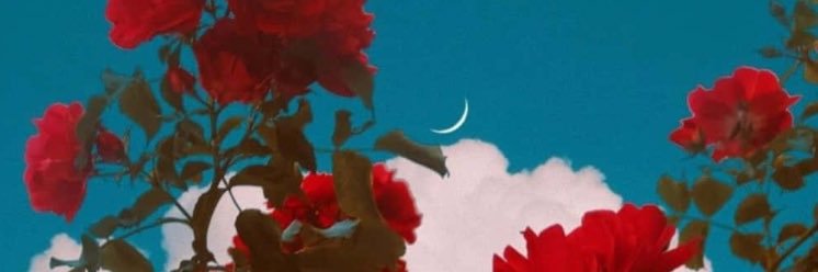 Nonsenseari's profile banner image
