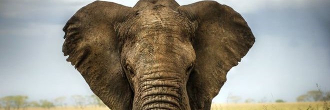 🅰ndres🅱dn banner